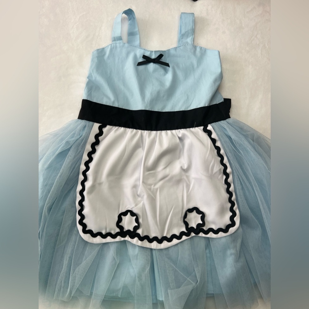 Alice in Wonderland Halloween Costume - Picture 2 of 5